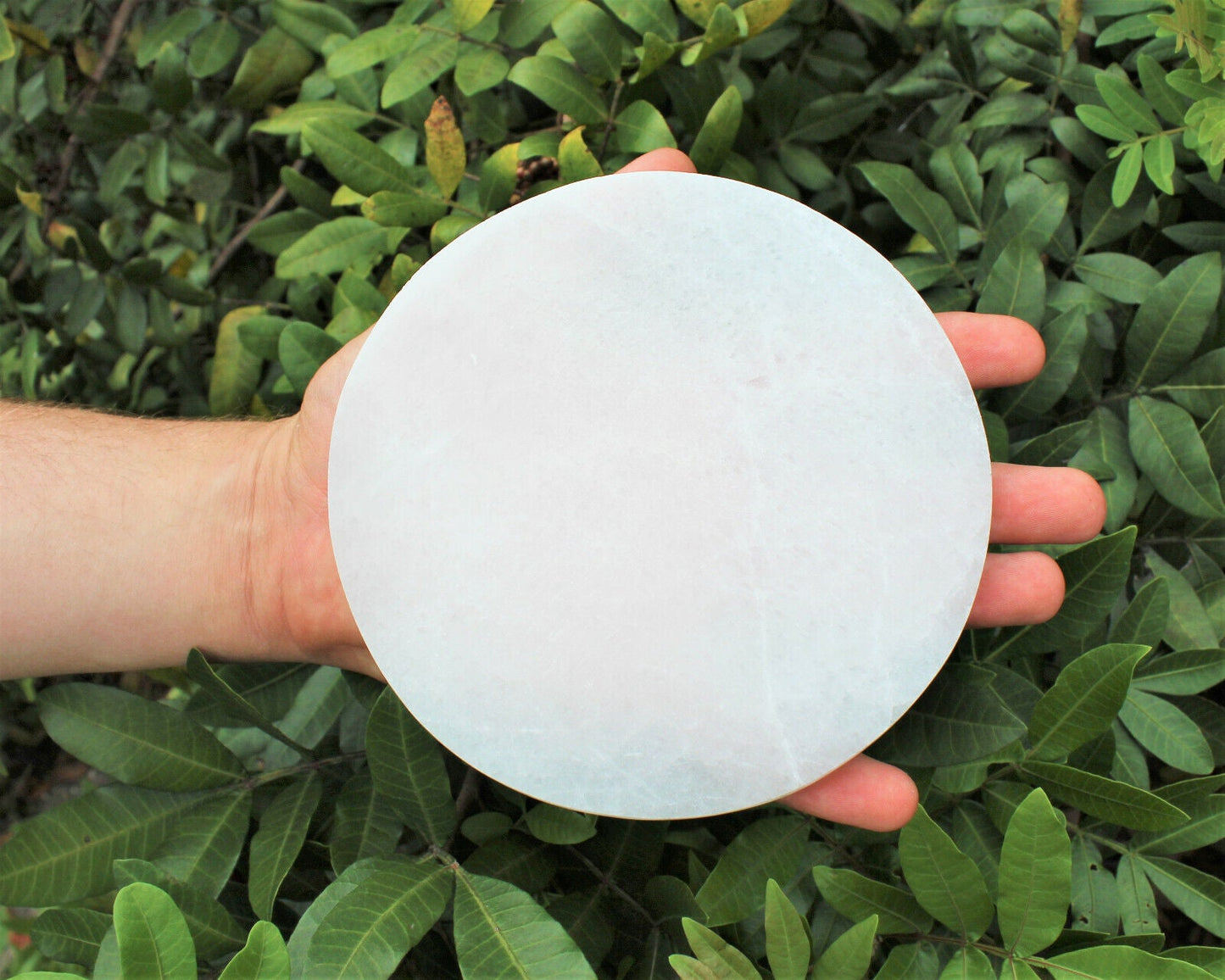 Selenite Charging Station โ 6" Round Polished Plate | Large Crystal Charging