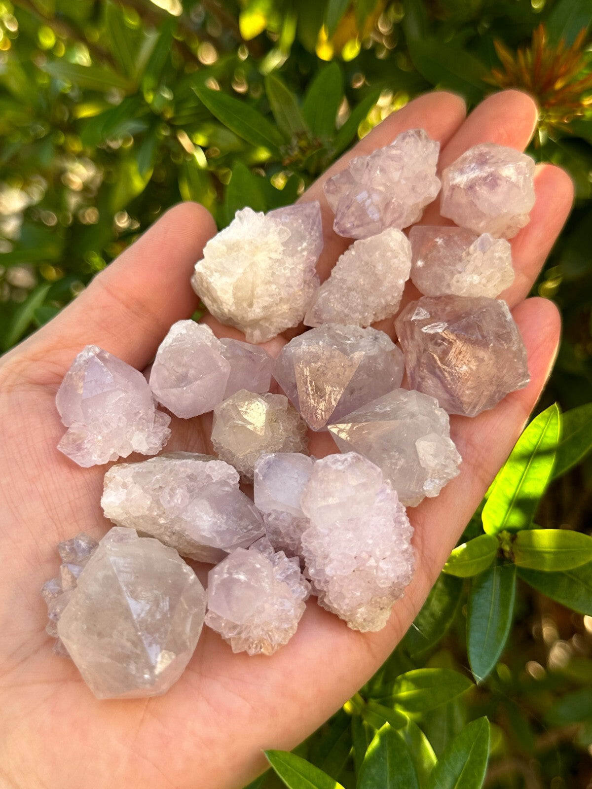 Spirit Quartz Clusters Crystal Collection Box: 6 - 7 oz Box Lot, 11 - 14 Pieces