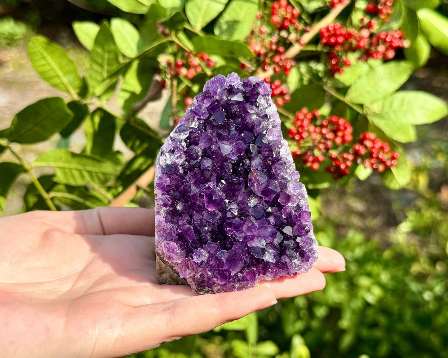 Stunning LARGE Amethyst Cut Base Cluster, Crystal Quartz Geode 8 - 11 oz