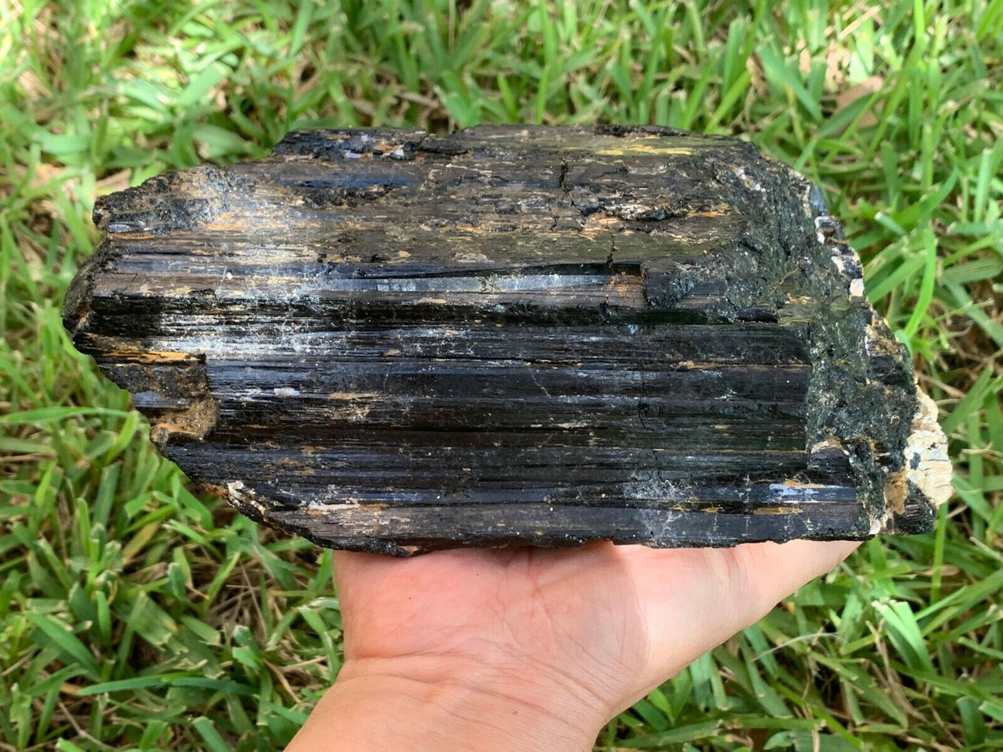 Extra Large Black Tourmaline Chunk / Rod / Log, Natural Rough Black Tourmaline