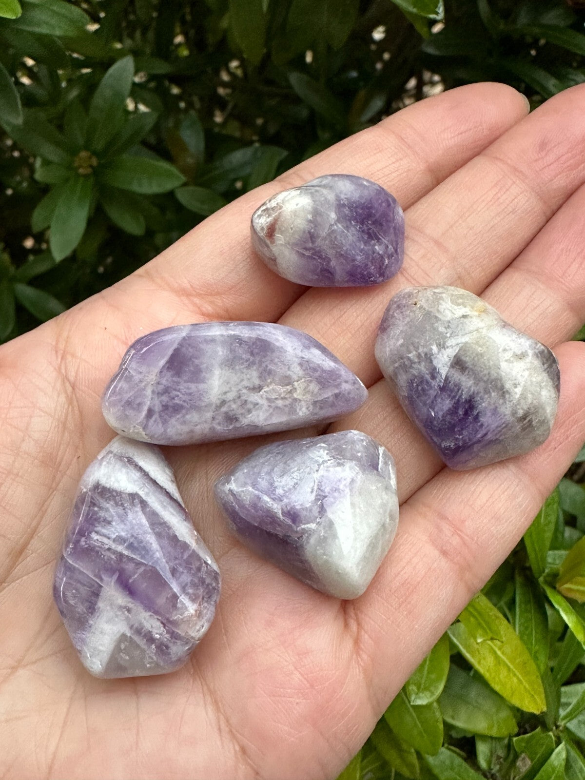 1/2 Lb Lot Tumbled Stones, 0.75-1.25" Crystal Healing Stones, Choose Stone Type