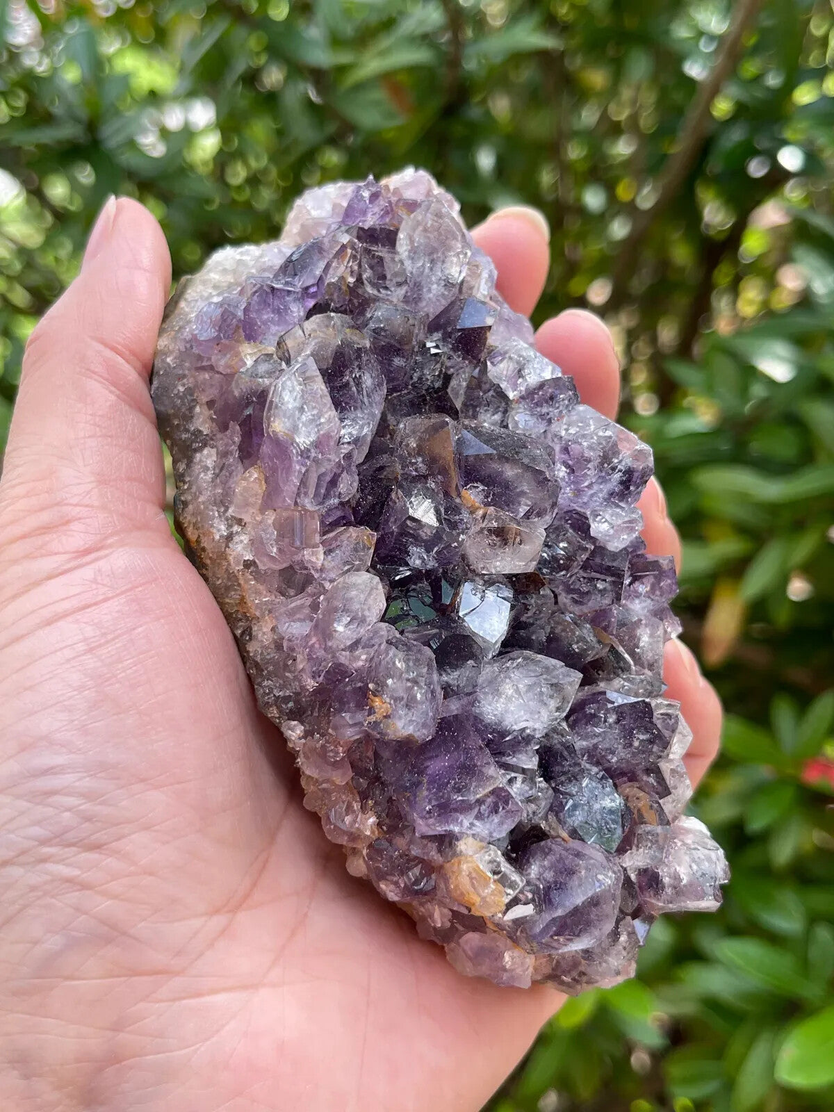 Grade A Amethyst Cluster, Amethyst Geode, Raw Amethyst Druze, Pick a Size