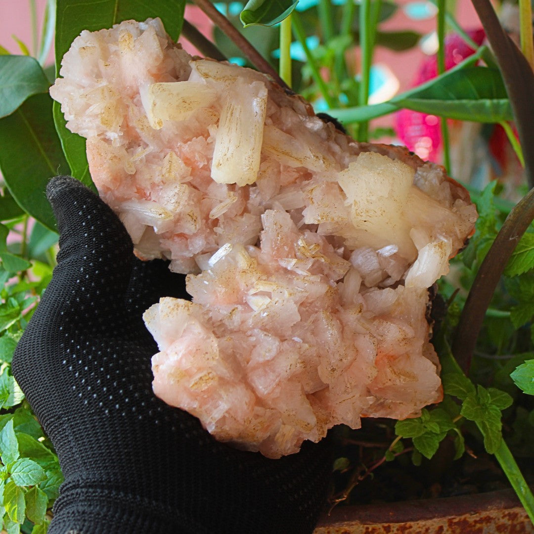 ✨ Natural Orange Stilbite & Heulandite Crystal Cluster 980g Reiki Healing Stone