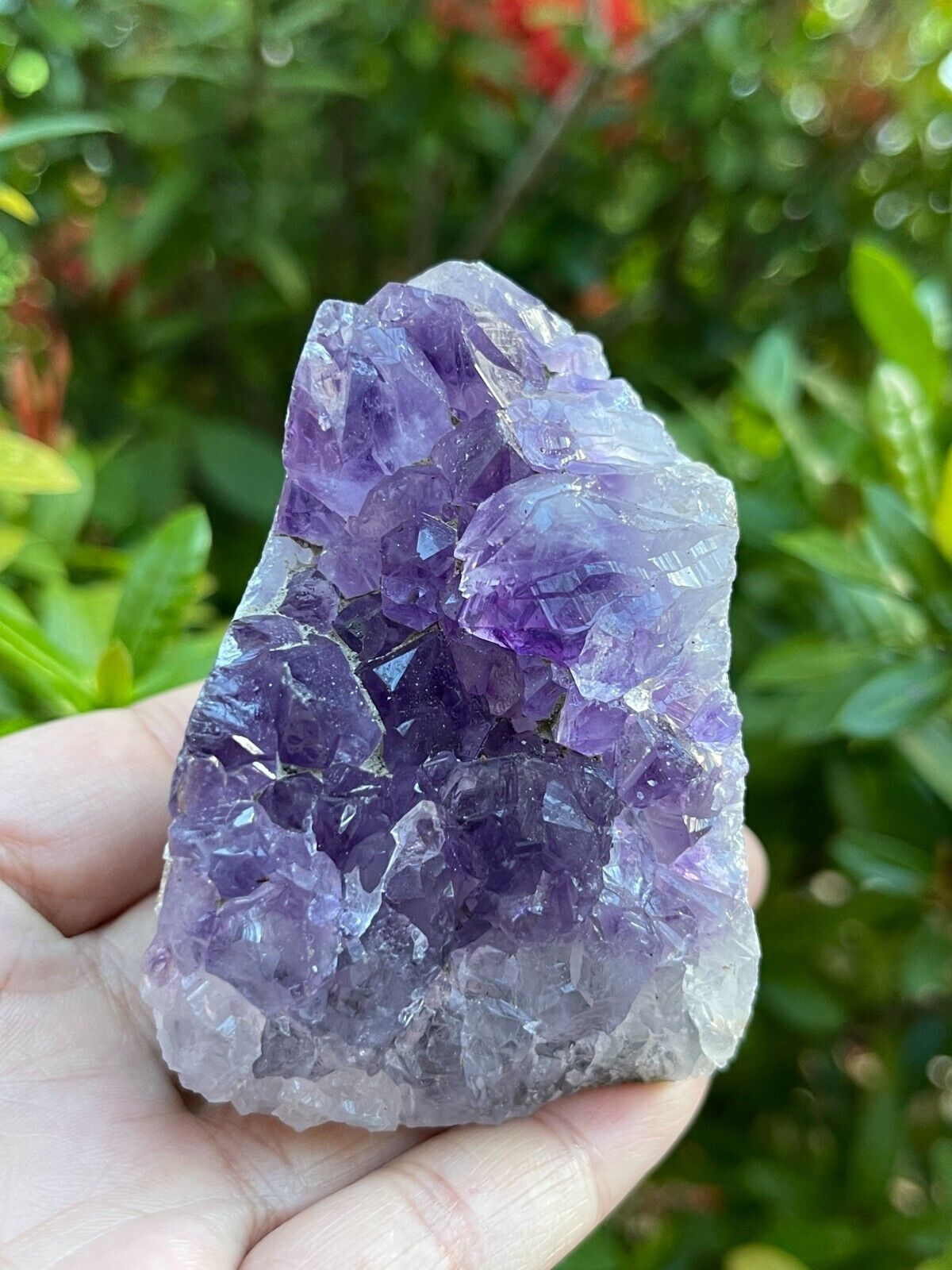 Small Uruguayan Deep Purple Amethyst Cluster, Amethyst Geode, Wholesale Bulk Lot