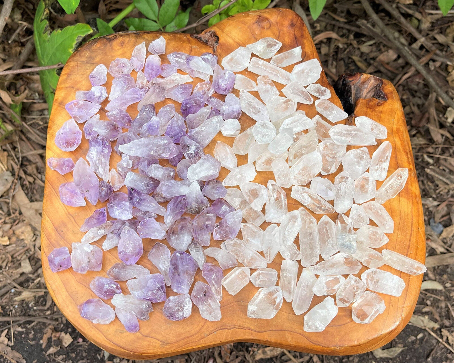 1/2 lb Bulk Amethyst & Quartz Crystal Collection in Box, Natural Clear Points