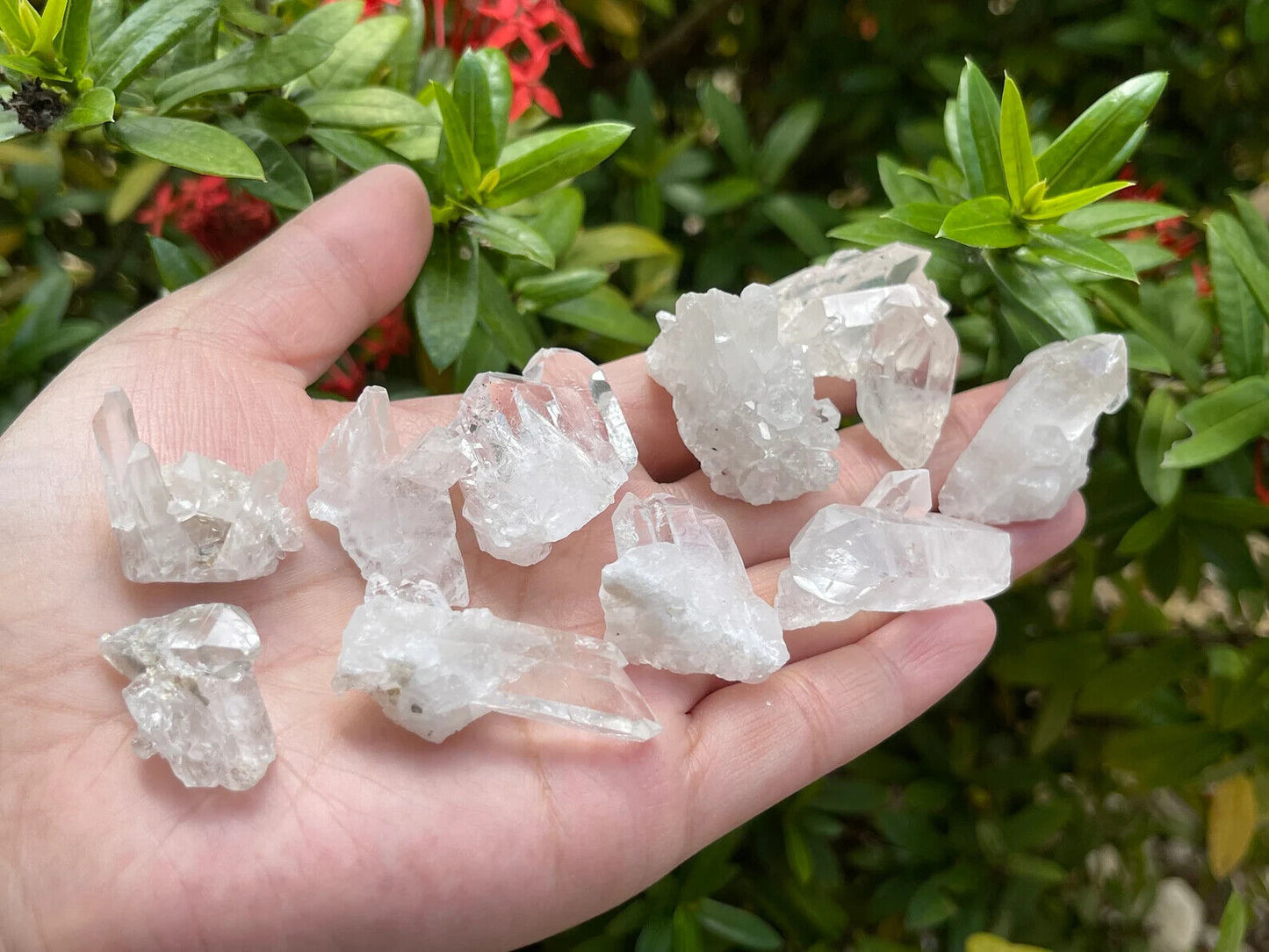 10 pcs Box Clear Quartz Clusters Collection, Grade A++ Raw Clear Quartz Geode