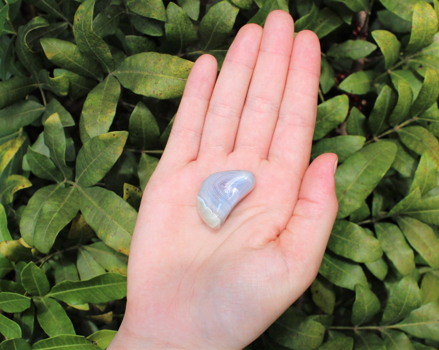 1 x Tumbled Stones : You Choose Type - Huge Range - ON SALE! (Crystal Healing)