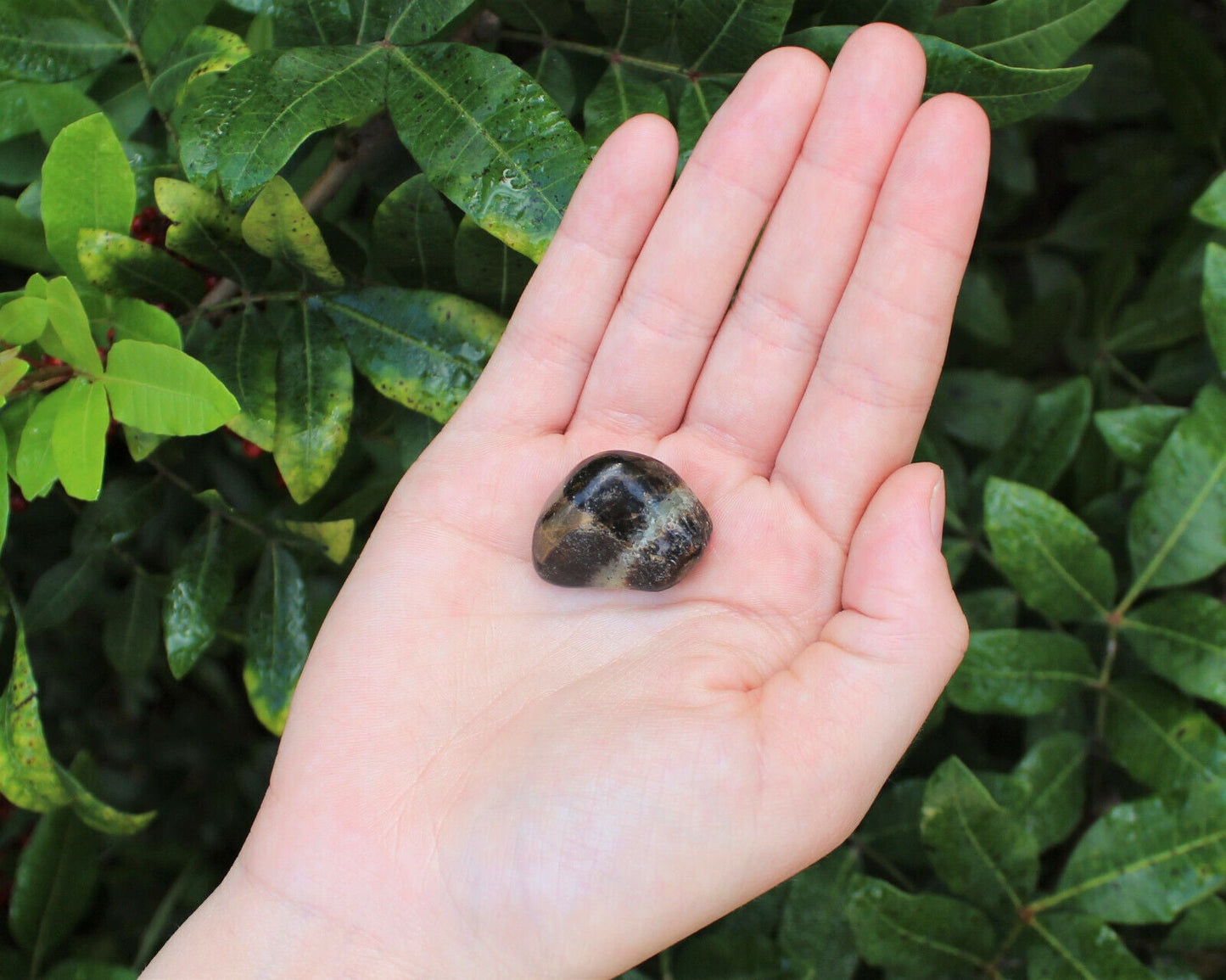 1 x Tumbled Stones : You Choose Type - Huge Range - ON SALE! (Crystal Healing)