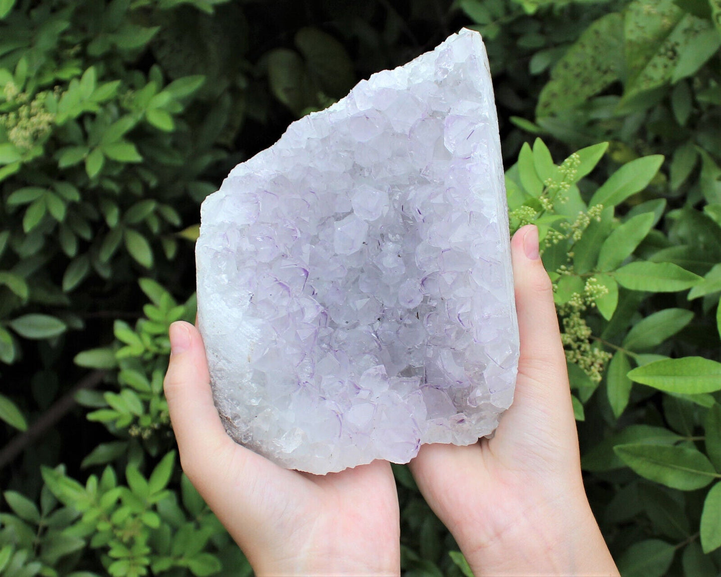 CRAZY CHEAP Gray Lavender Amethyst Cut Base Crystal Geodes - Closeout Amethyst