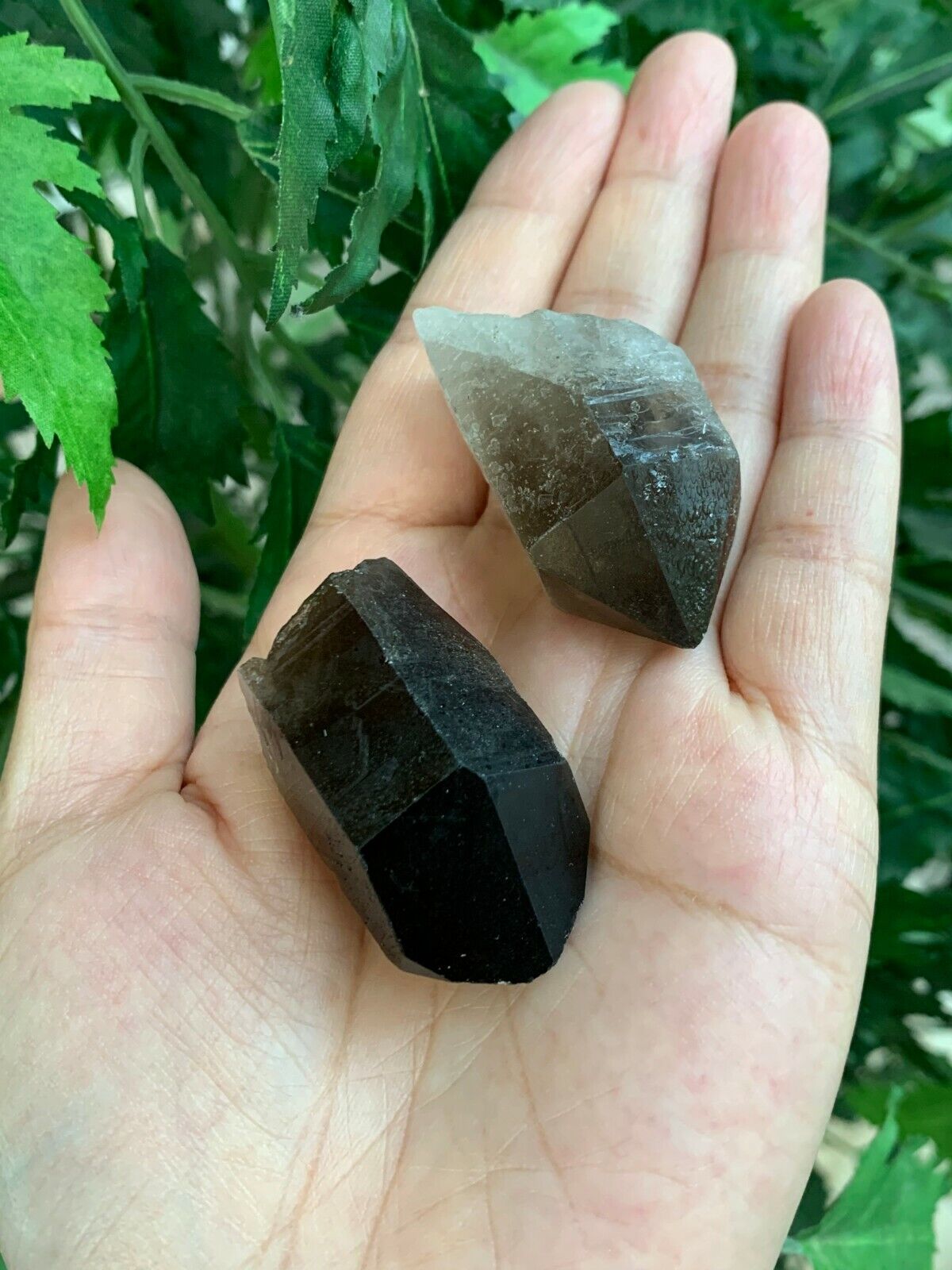 Natural Smoky Quartz Crystal Points, Raw Smoky Quartz Point, Wholesale Bulk Lot