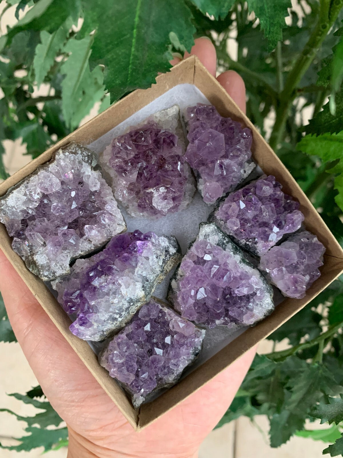 Raw Amethyst Cluster Druzy Collection Box: 6 - 8 oz Box Lot, Natural Amethyst