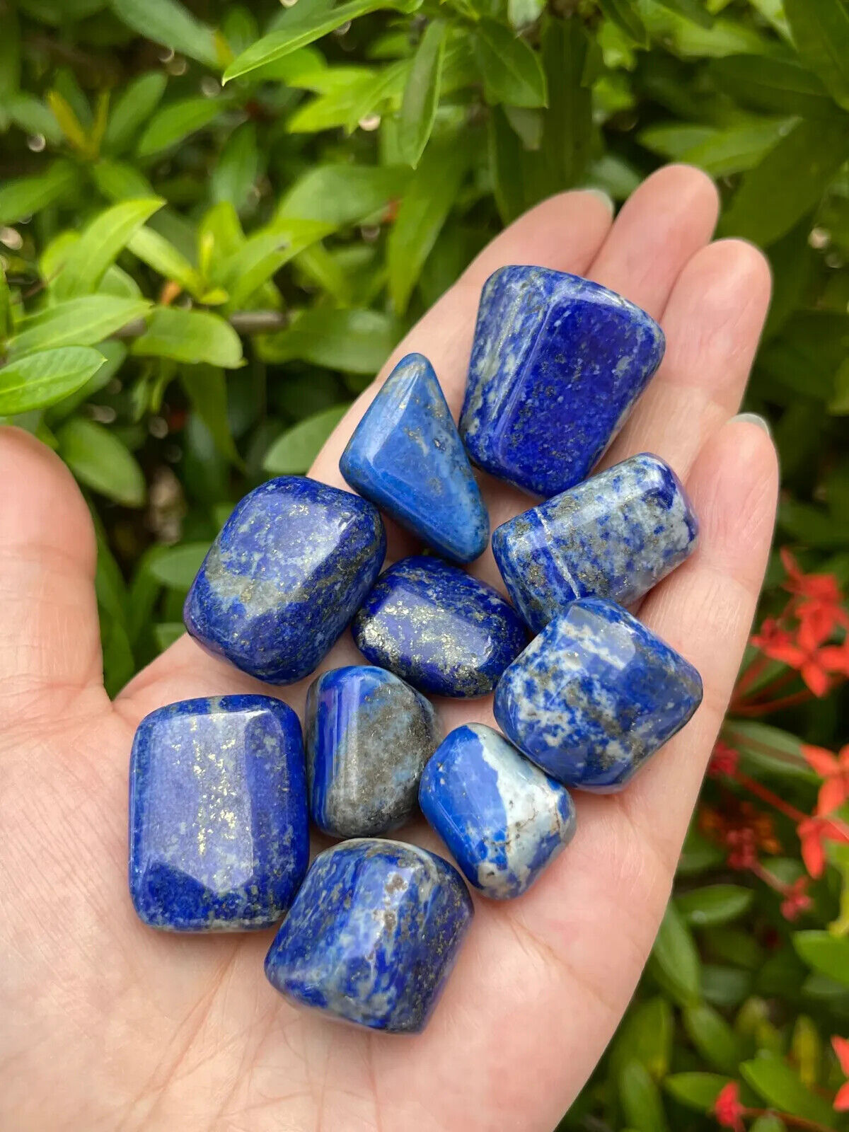 1/2 Lb Lot Tumbled Stones, 0.75-1.25" Crystal Healing Stones, Choose Stone Type