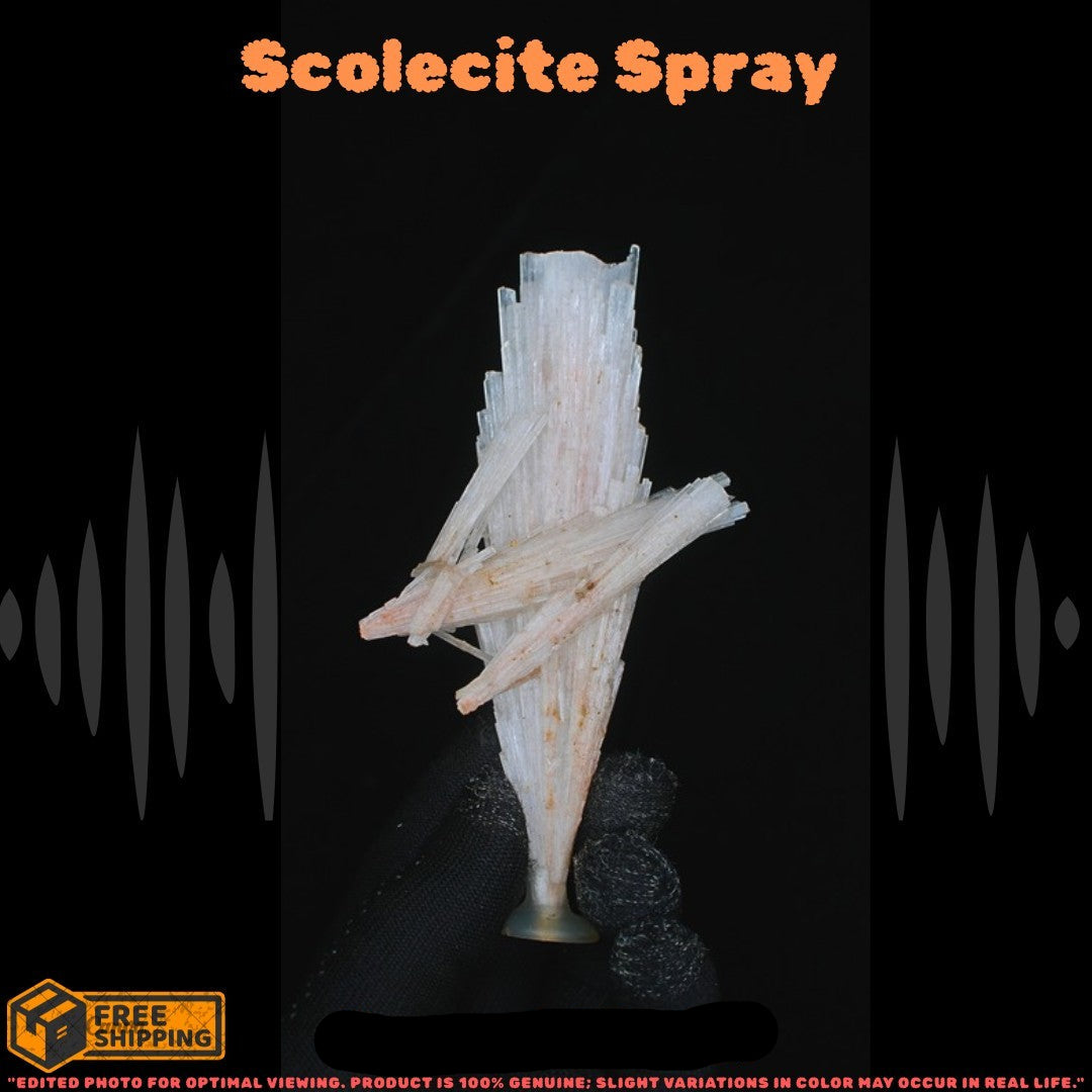 Natural Scolecite Cluster 70g White Zeolite Crystal Mineral from India