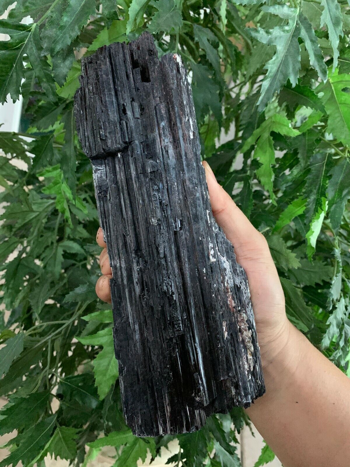 Extra Large Black Tourmaline Chunk / Rod / Log, Natural Rough Black Tourmaline