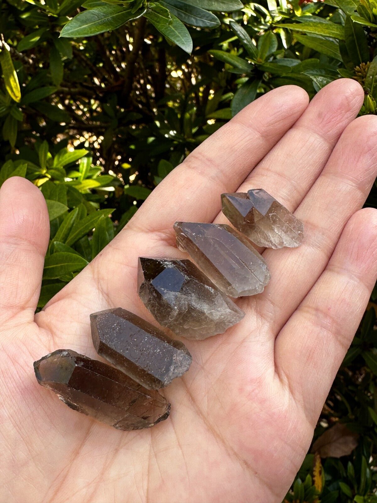 Natural Smoky Quartz Crystal Points, Small Smoky Quartz Point,Wholesale Bulk Lot