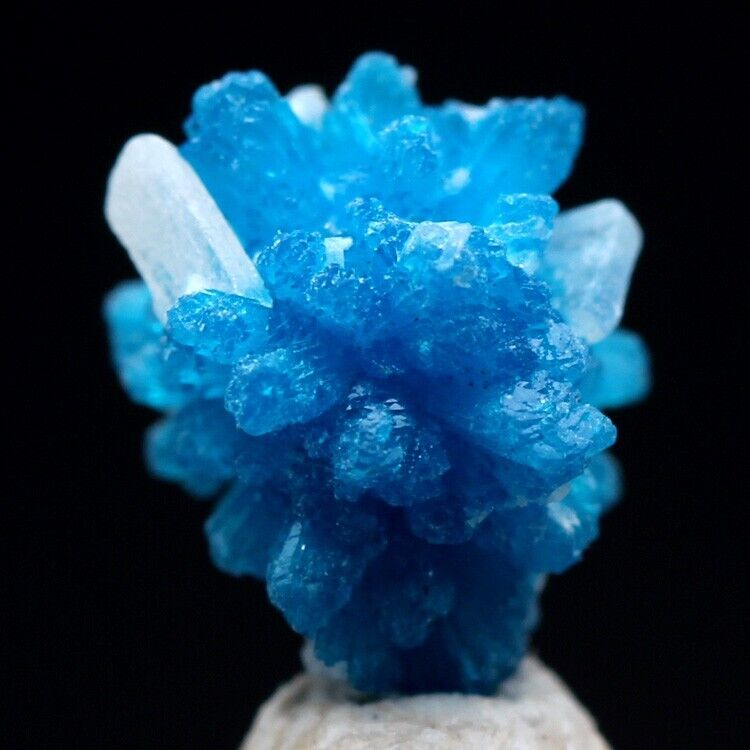 CAVANSITE STILBITE Specimen Blue Crystal Cluster Mineral INDIA w/ ID card