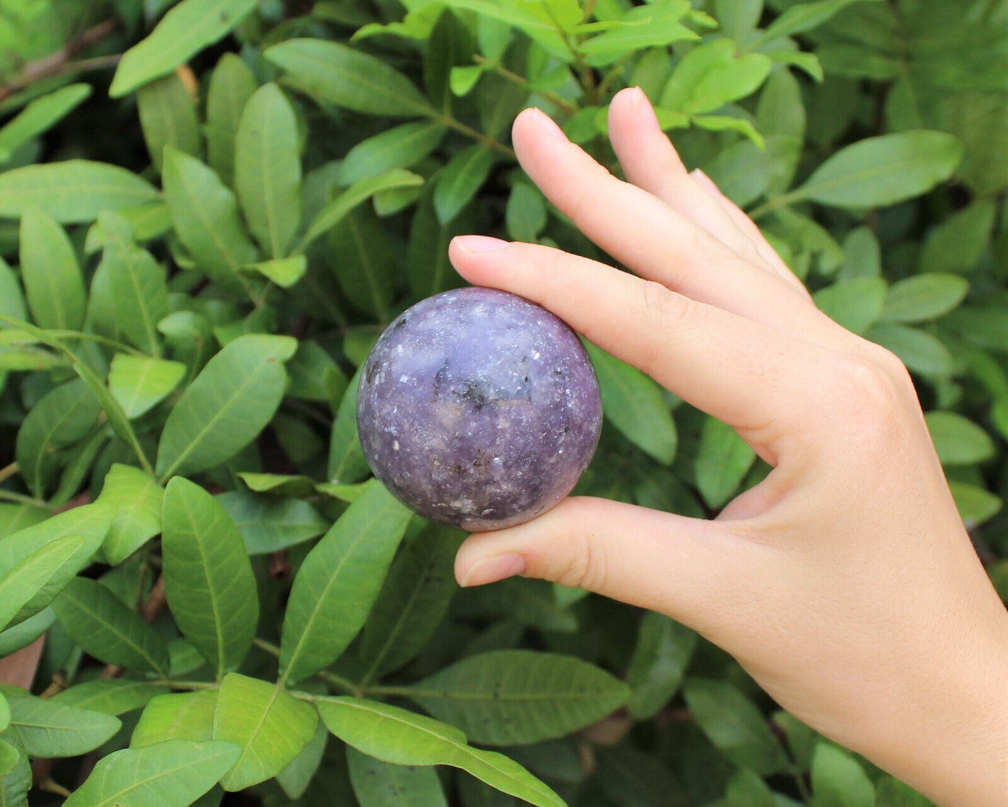 Lepidolite Crystal Sphere LARGE 2" Sphere + Stand (AA Quality Lepidolite Sphere)