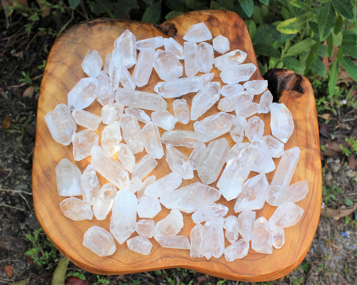 Clear Quartz Crystal Points 1/2 lb Bulk Lot Natural Mineral Wand Specimen (8 oz)