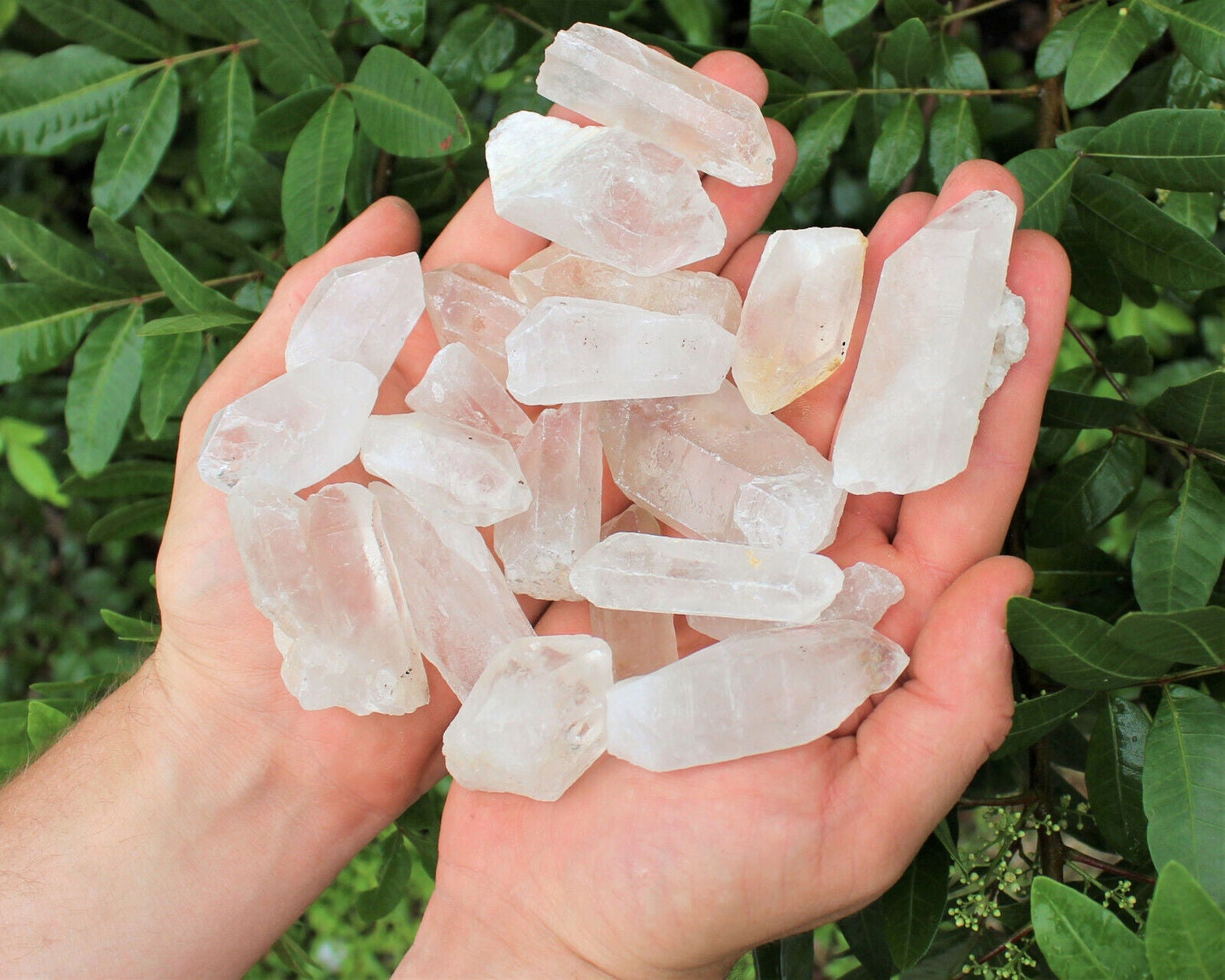 Wholesale CLEARANCE Bulk Lot 1/4 lb (4 oz) Rough Natural Quartz Crystal Points