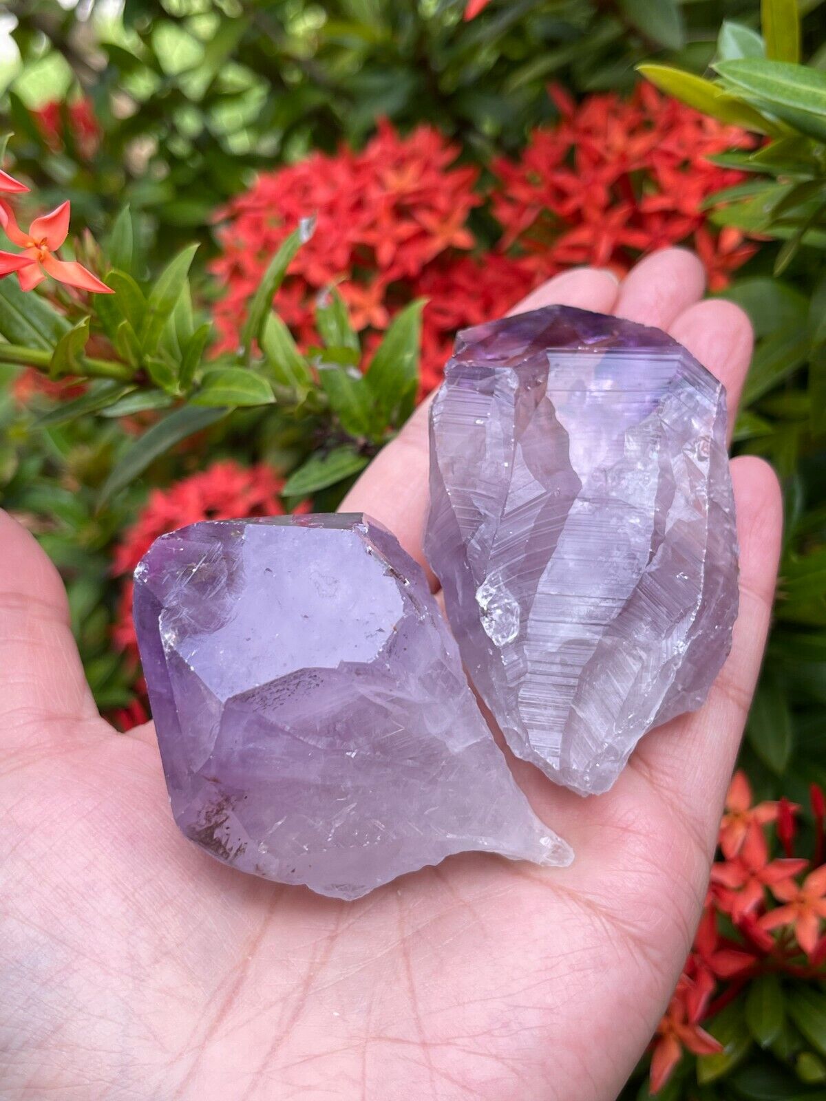 Extra Large Amethyst Rough Points, 2.5 - 3.25" Raw Amethyst Points, Bulk Lot