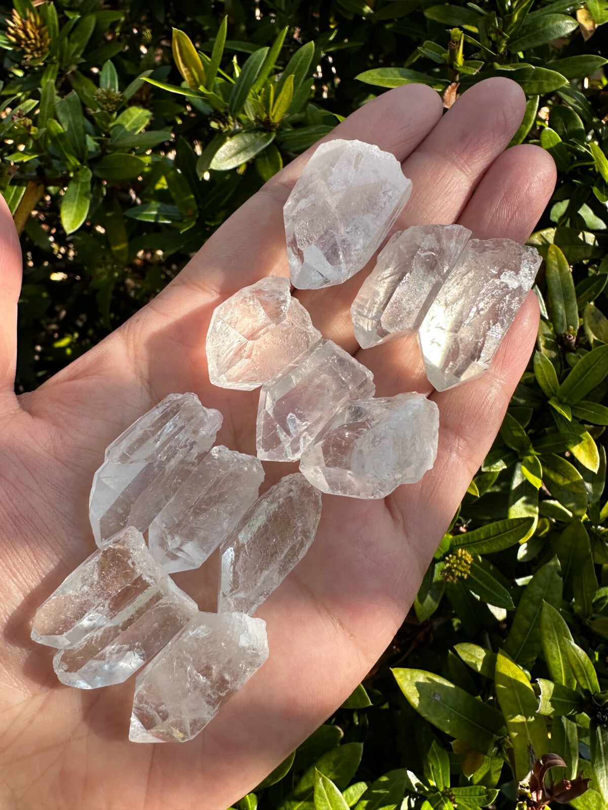 0.75" - 1.5" Small Rough Clear Quartz Point, Raw Healing Crystals, Wholesale Lot