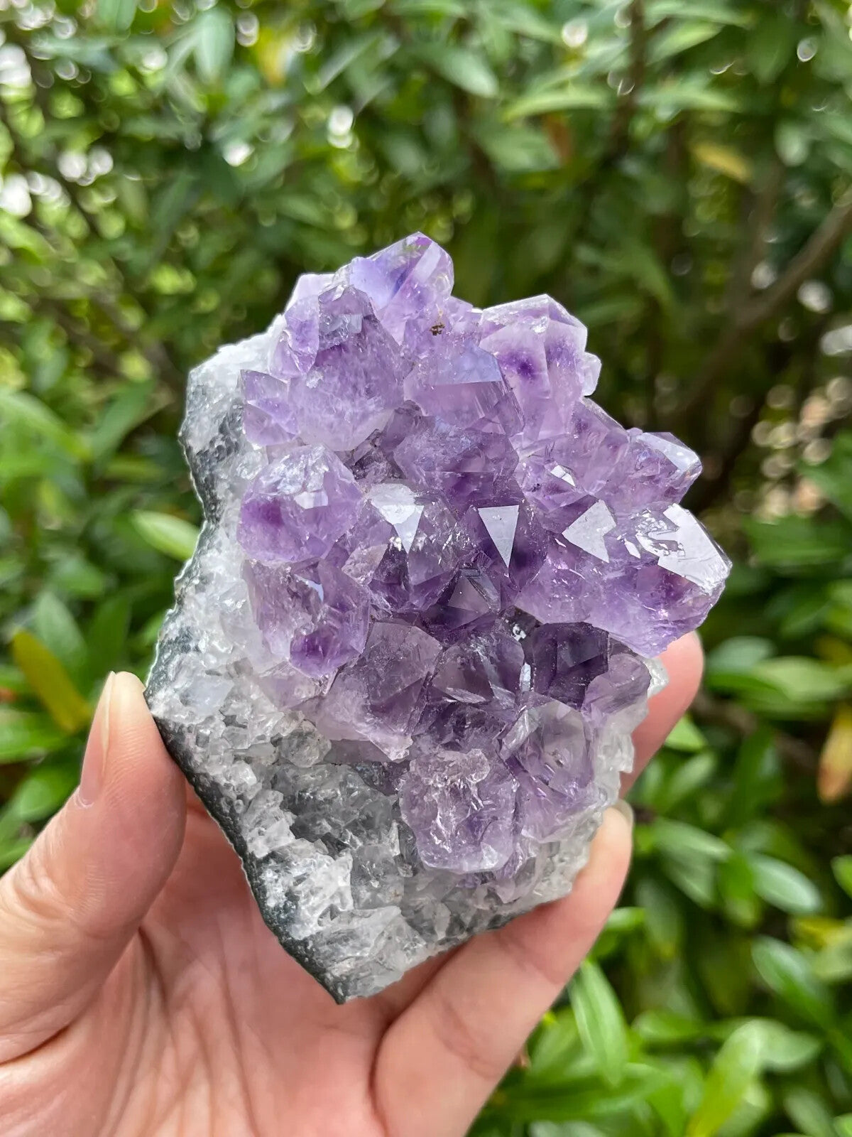 Grade A Amethyst Cluster, Amethyst Geode, Raw Amethyst Druze, Pick a Size
