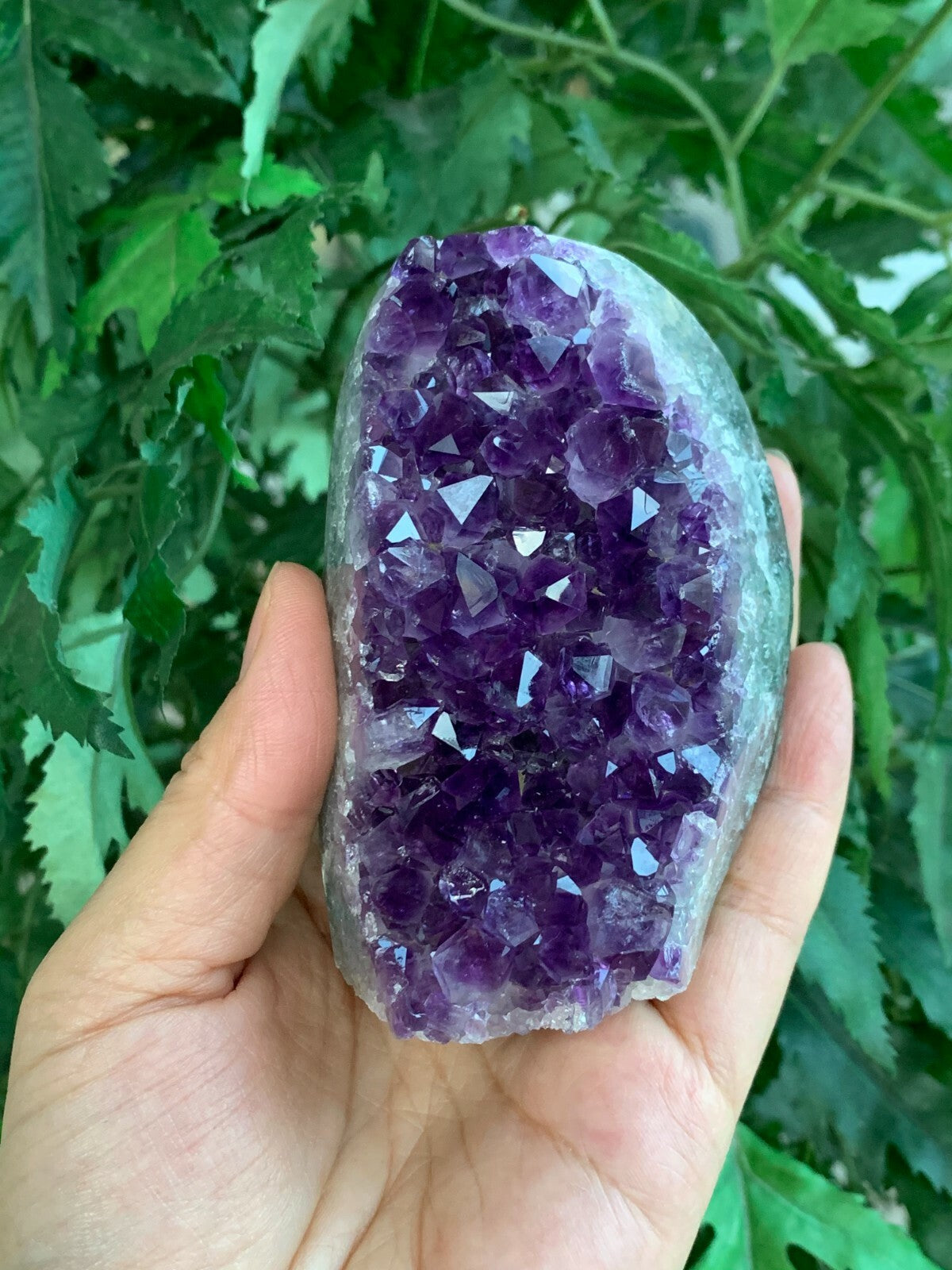 Finely Polished Uruguay Deep Purple Amethyst Cluster Crystal Geode, Pick a Size