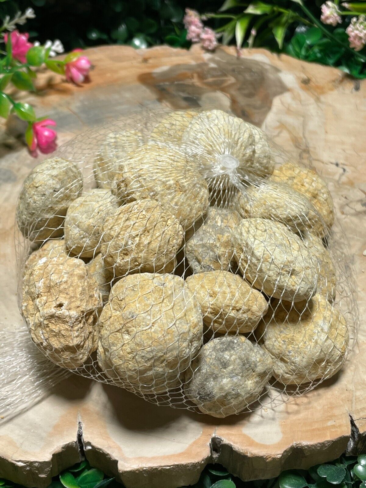 2cm-5cm Break Your Own Geodes Unbroken Quartz Crystal Geode 0.2 LB