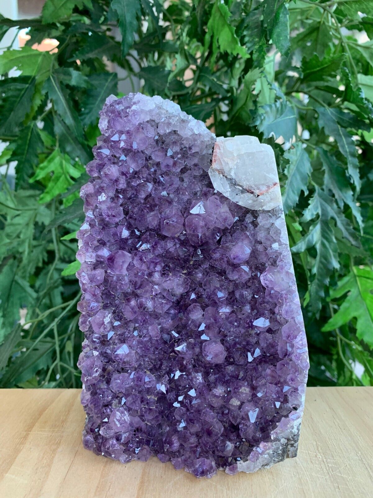 Amethyst Cluster, Amethyst Geode From Uruguay Cut Base, Pick a Size