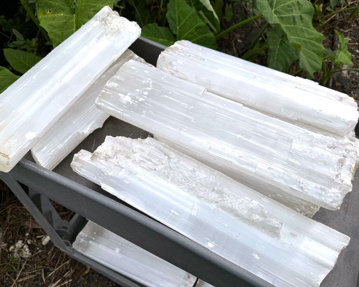 MASSIVE Selenite Logs - Natural White Selenite Crystals (HUGE Selenite Sticks)