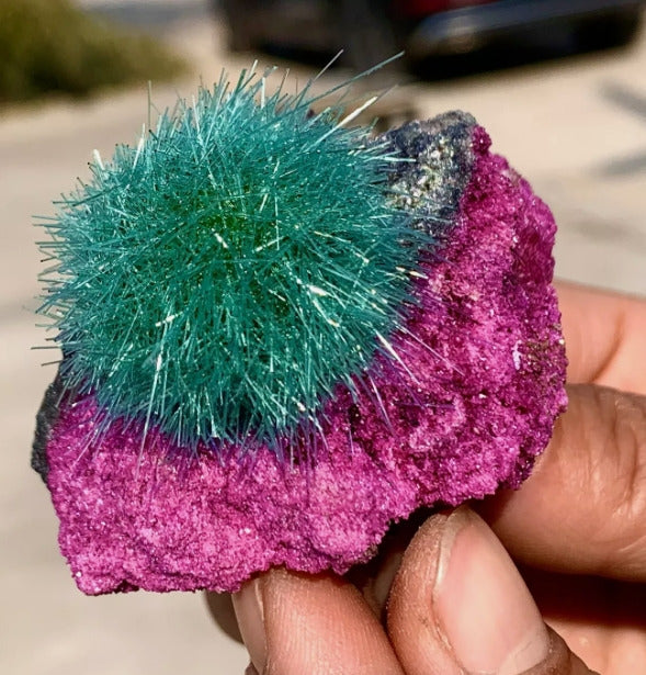 Dandelion Zeolite Quartz Crystal Cluster Mineral Quartz Crystal Specimens Decor