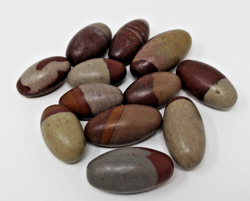 Lot of 10 Shiva Lingam Stones Medium 1.5 - 2" Narmada River India Shiva Lingham
