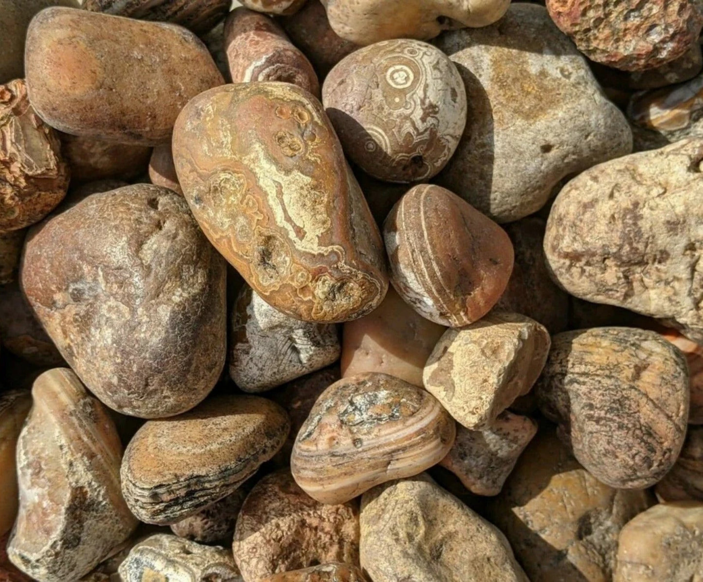 Bahia Agate - Large Rough Rocks for Tumbling - 2" - 3" - 1LB Bulk Wholesale