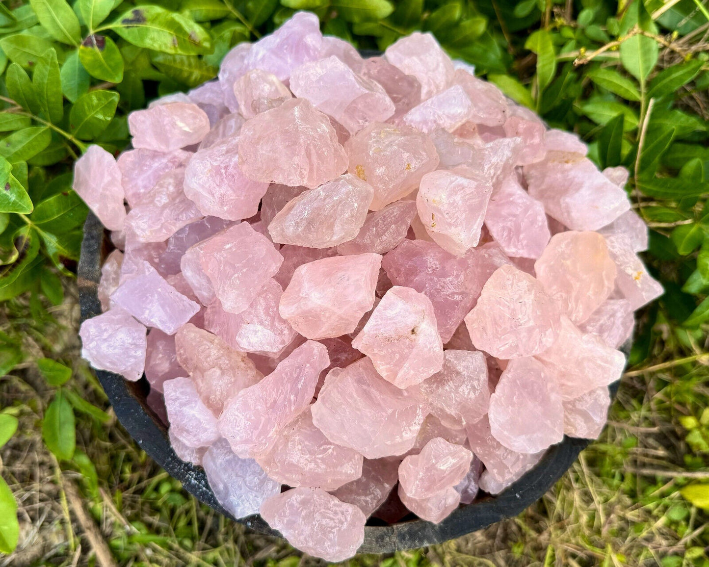 Rough Natural Rose Quartz Wholesale Bulk Lots, LARGE 2 - 3" Rose Quartz Crystals