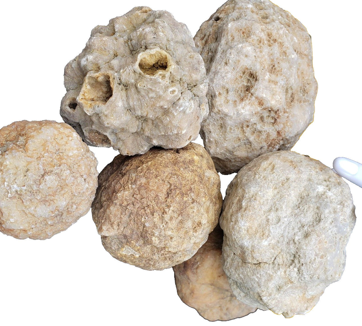 5 lbs Premium Kentucky Uncut Geodes Agates Nodules Lapidary Quartz Crystals Sale