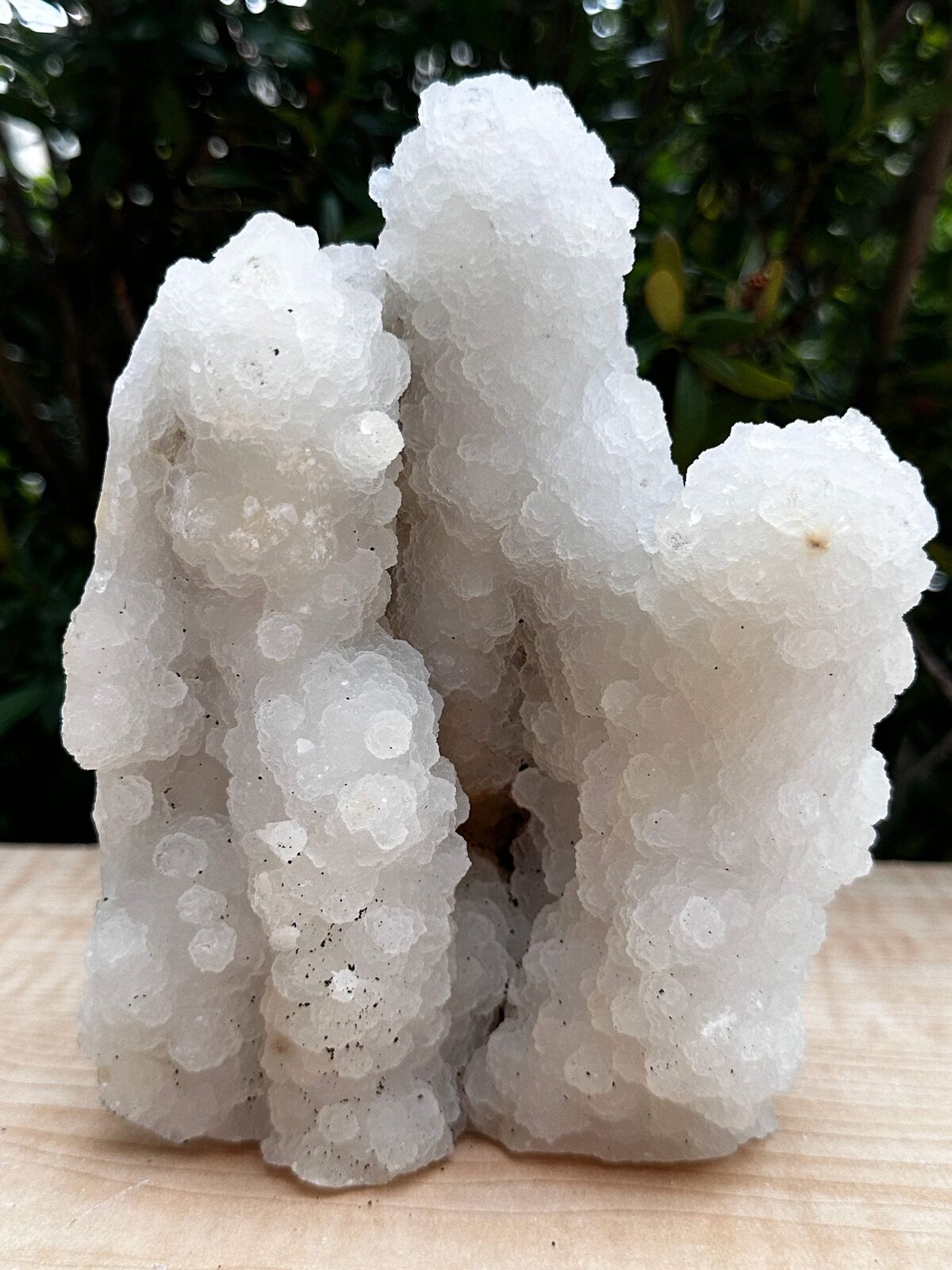 Chalcedony & Crystal Quartz Stalactite, Quartz on Chalcedony Stalactite Specimen