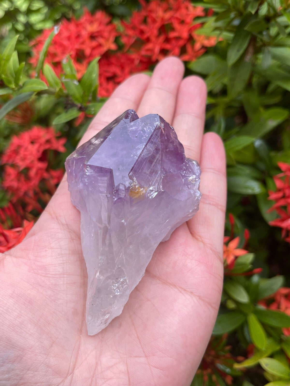 Extra Large Amethyst Rough Points, 2.5 - 3.25" Raw Amethyst Points, Bulk Lot