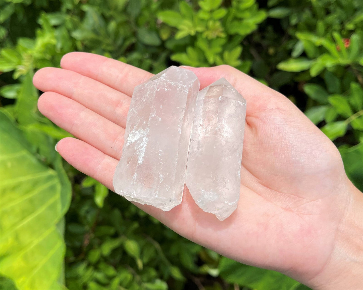 Clear Quartz Crystal Point (2" - 3") Natural Wand Specimen, Reiki Healing