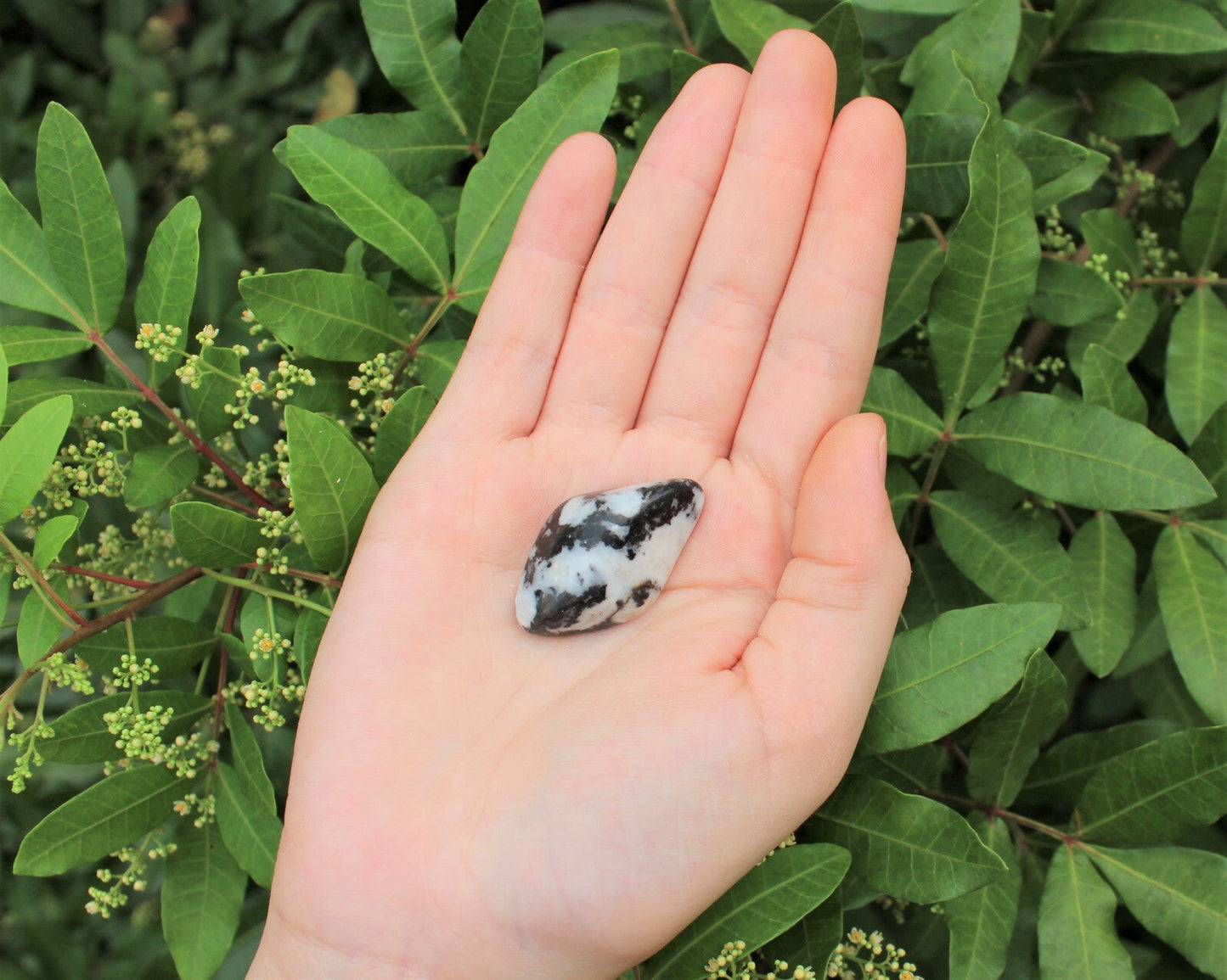 1 x Tumbled Stones : You Choose Type - Huge Range - ON SALE! (Crystal Healing)