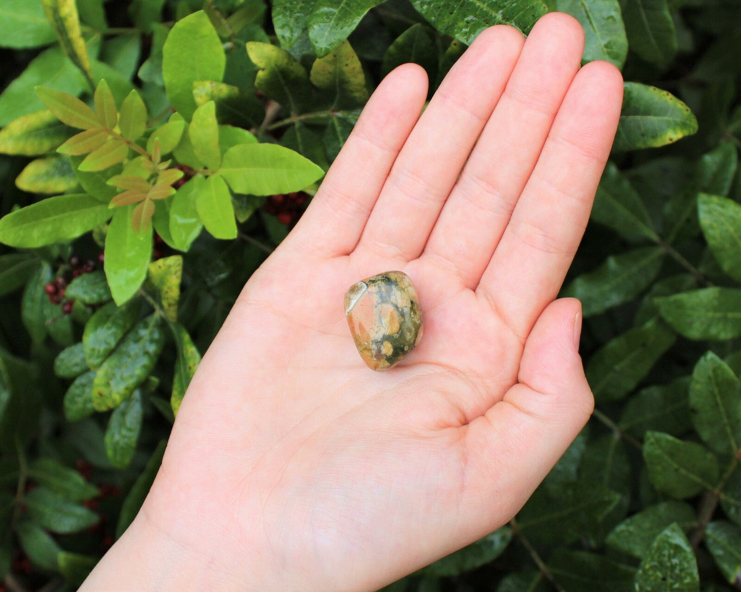 1 x Tumbled Stones : You Choose Type - Huge Range - ON SALE! (Crystal Healing)