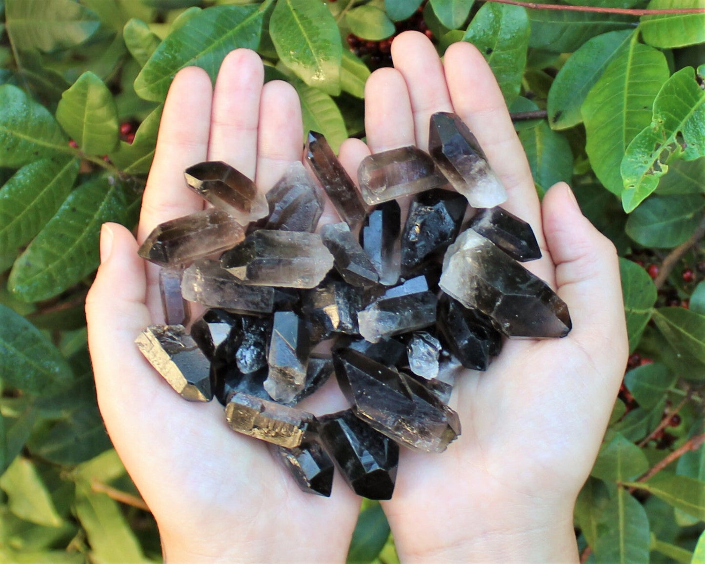 1/4 lb Bulk Lot Mixed Smokey & Quartz Crystal Natural Clear Points Smoky