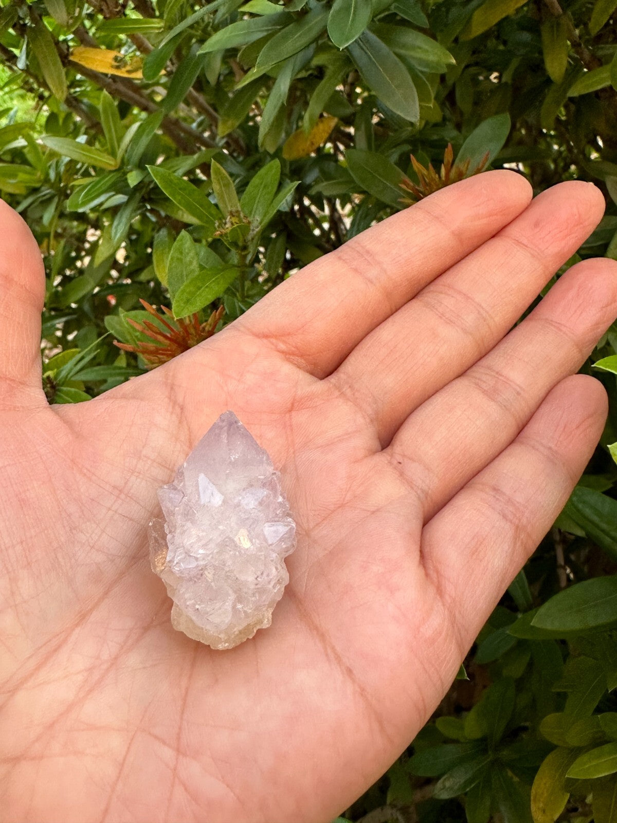 Spirit Quartz Clusters Crystal Collection Box: 6 - 7 oz Box Lot, 11 - 14 Pieces