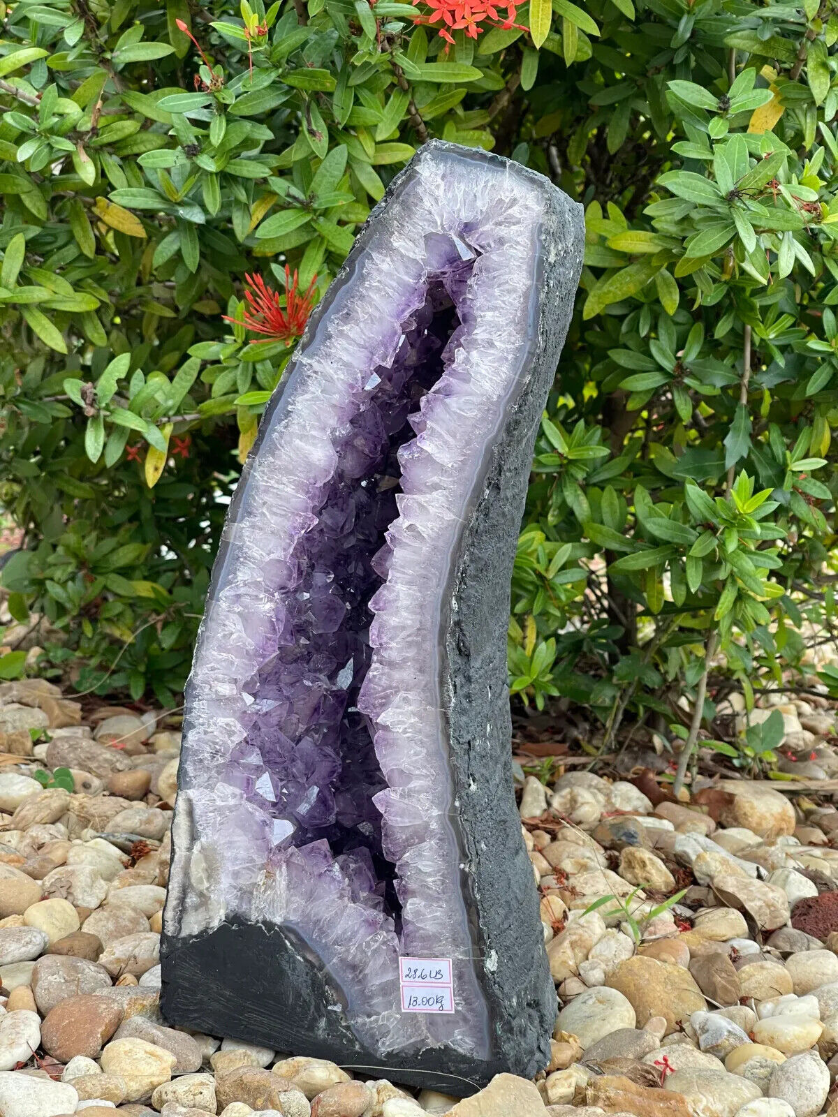 X-Large Amethyst Cathedral, Amethyst Geode,Raw Amethyst Cluster, Pick a Weight