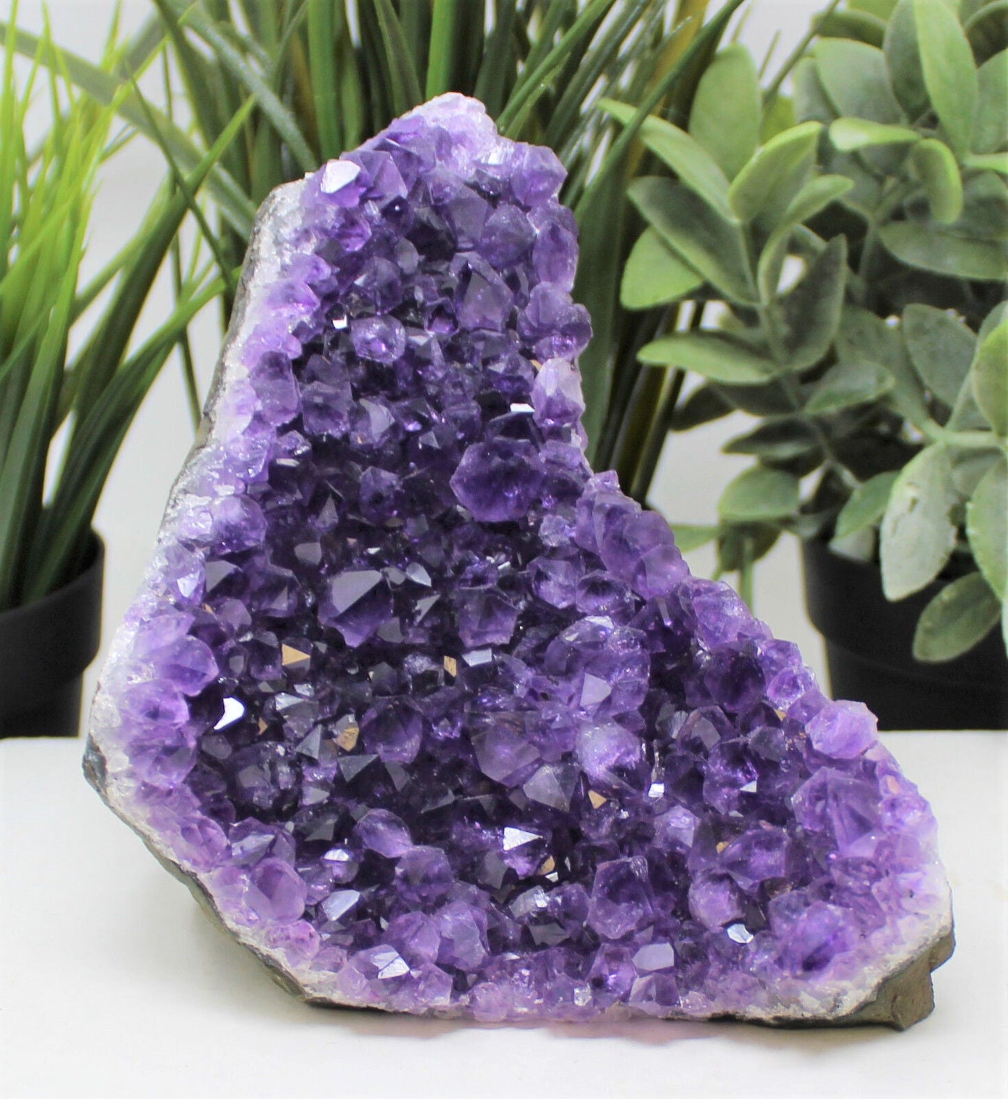 Stunning HUGE Amethyst Cut Base Cluster Crystal Quartz Geode 2 lb - 3 lb