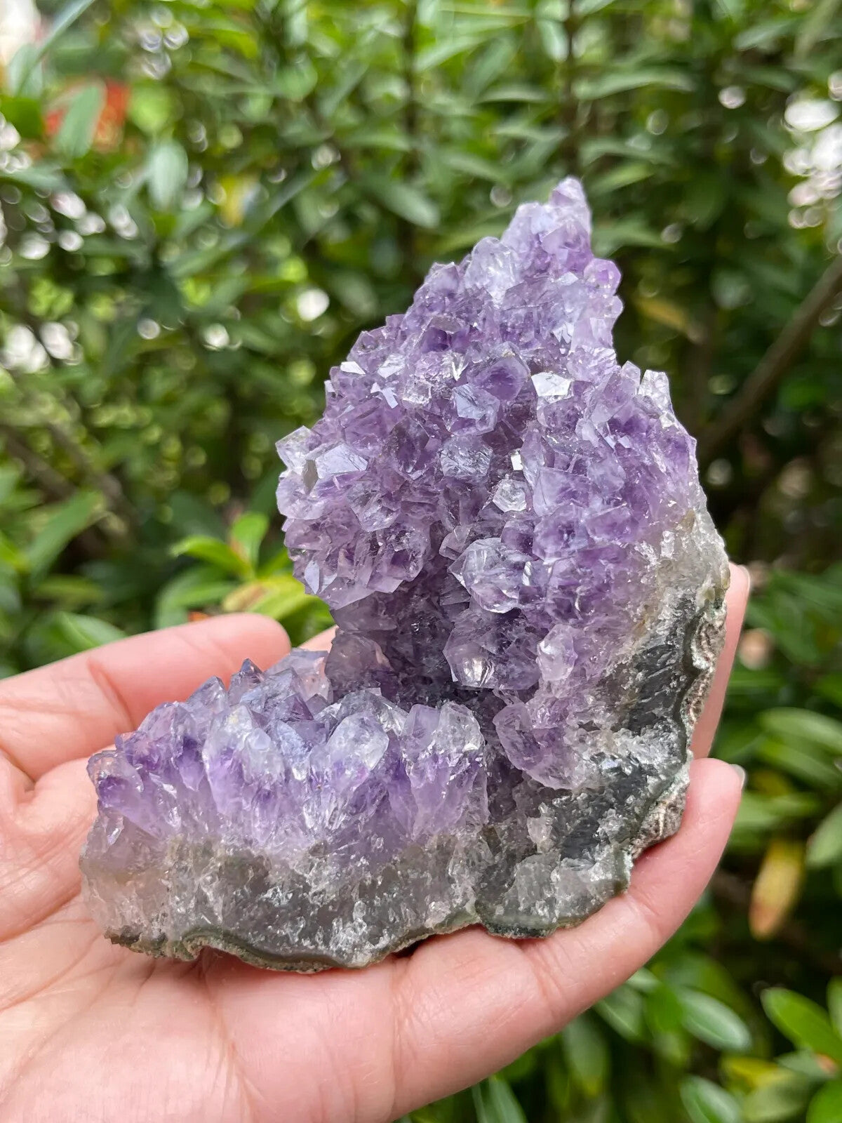 Grade A Amethyst Cluster, Amethyst Geode, Raw Amethyst Druze, Pick a Size