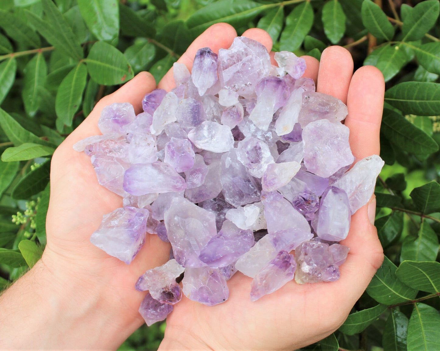 Wholesale CLEARANCE Amethyst Crystal Points, 500 Carat Lot Natural Rough Quartz