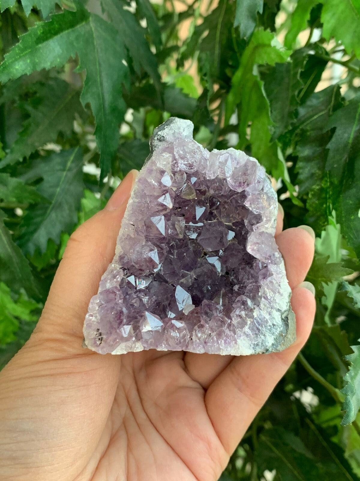 Amethyst Cluster, Amethyst Geode From Uruguay Cut Base, Pick a Size