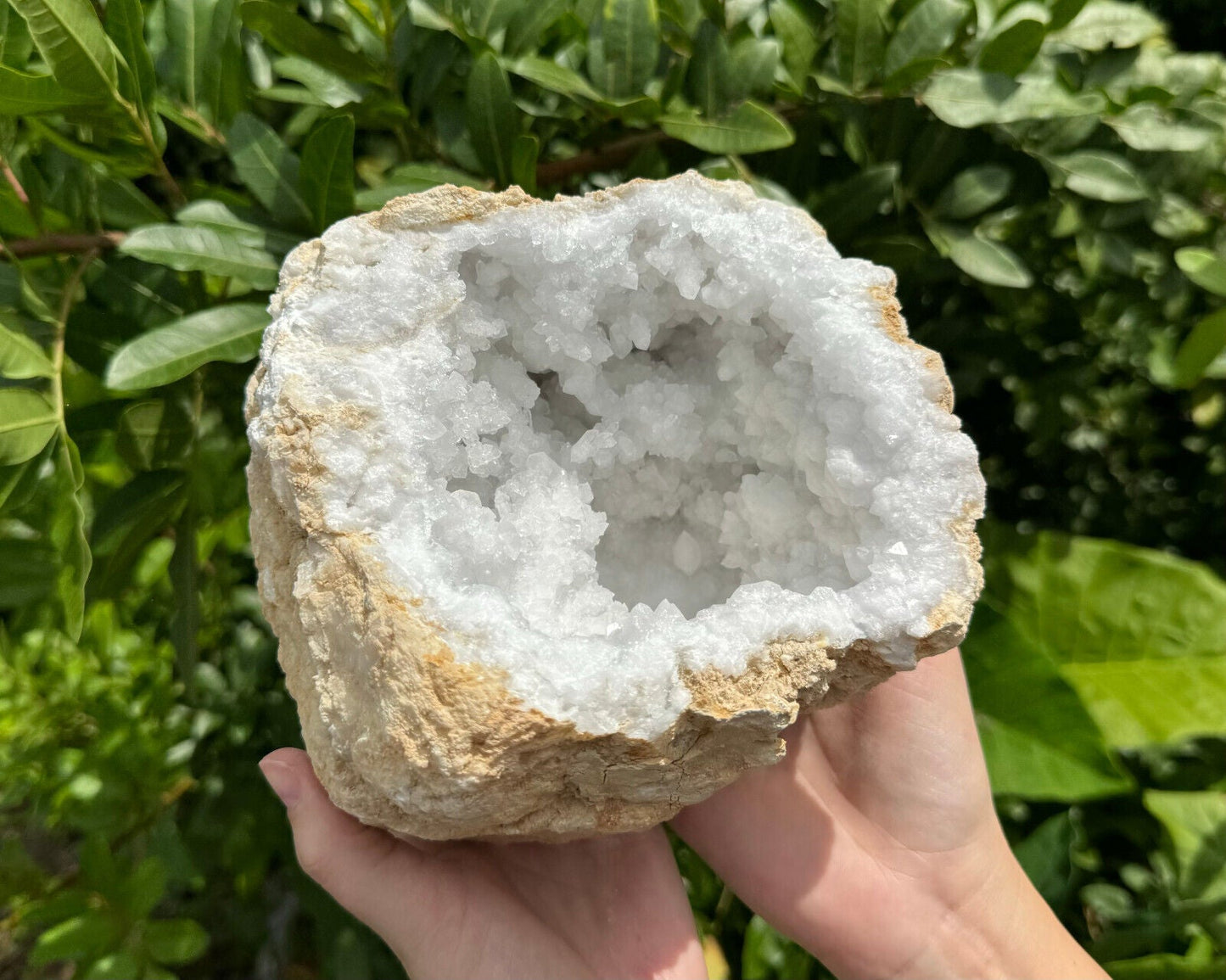MASSIVE Sugar Quartz Geodes - Natural Crystal Geode Specimens From Morocco