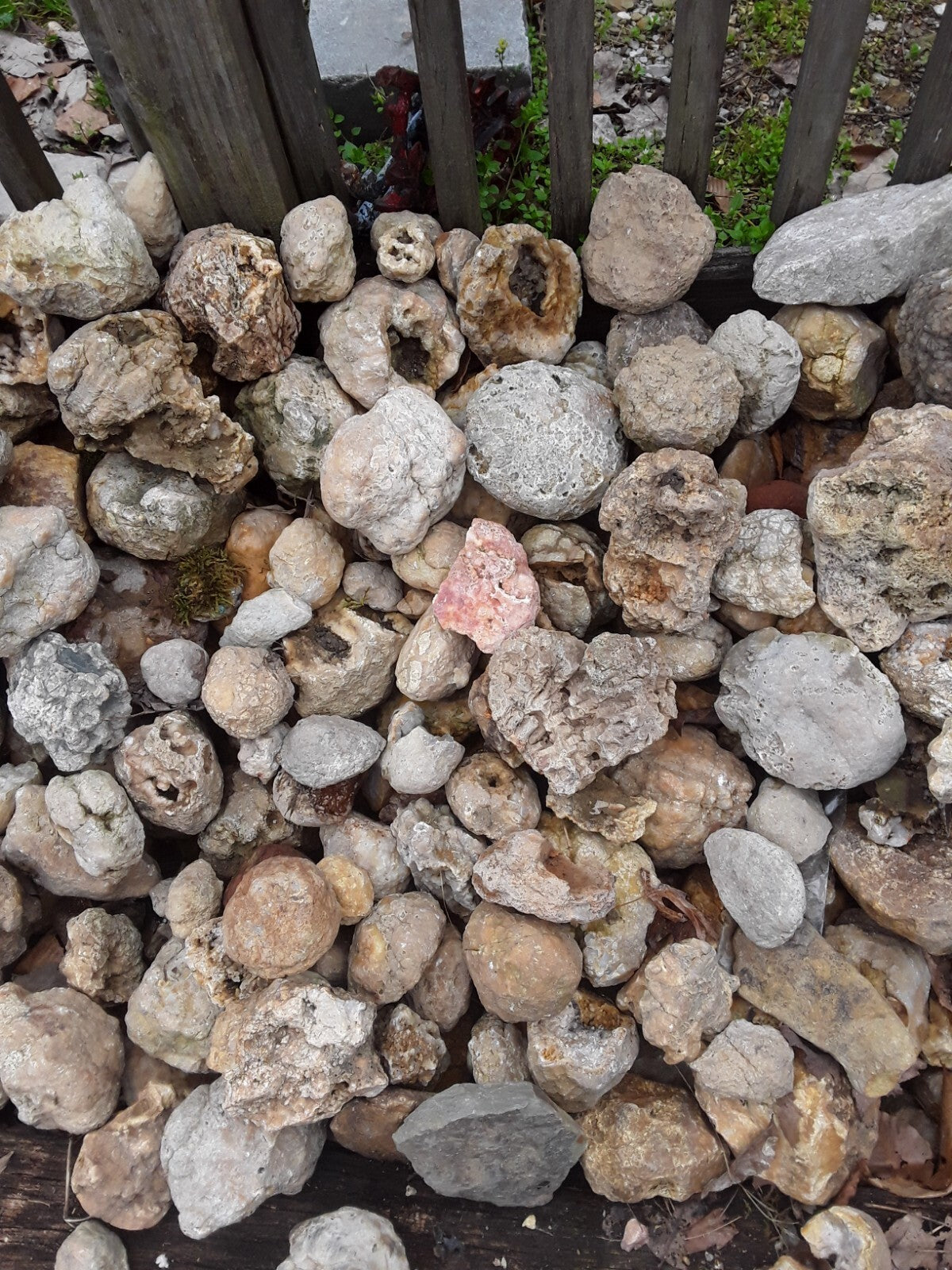 5 lbs Premium Kentucky Uncut Geodes Agates Nodules Lapidary Quartz Crystals Sale