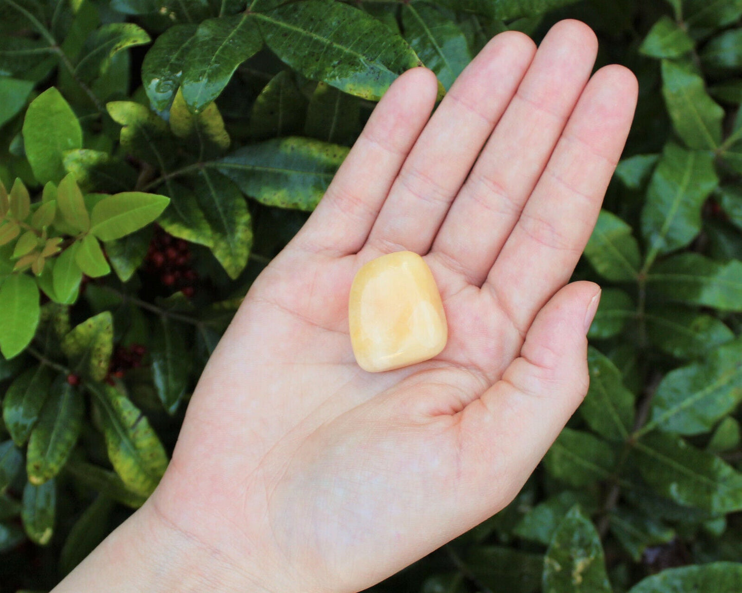 1 x Tumbled Stones : You Choose Type - Huge Range - ON SALE! (Crystal Healing)